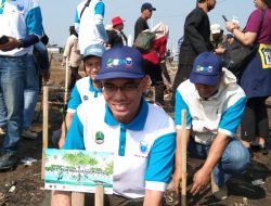 Bentuk Kepedulian Terhadap Lingkungan  dan Abrasi, PLN Nusantara Fower Tanam 100 Ribu Pohon Manggrove