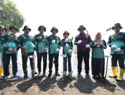 Pertamina Project Balongan Tanam 55 Ribu Pohon Mangrove di Pantai Tiris Indramayu