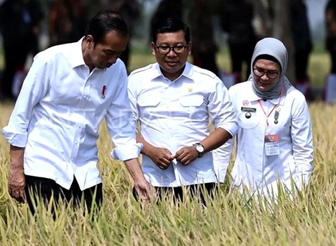 
 Ditemani Bupati Nina Agustina, Presiden Jokowi Panen Raya di Indramayu
