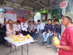 Soft Launching Edu-Eco Tourism Mangoes Center RU VI Balongan