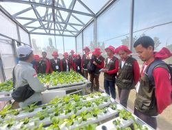 1000 Petani Muda Indramayu Ikuti Pelatihan, untuk Wujudkan Pertanian Maju, Mandiri dan Modern
