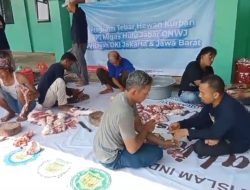 PT. Migas Hulu Jabar ONWJ Salurkan Sapi Kurban di Ponpes Nurul Islam Indramayu