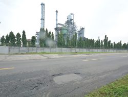 Proyek Bufferzone, Pertamina akan hijaukan Sisi Jalan Desa Sukareja dengan Tanam 6.900 Pohon