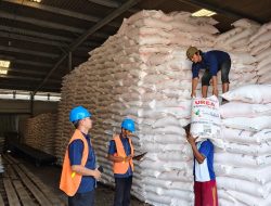 Petani Indramayu Tidak Perlu Khawatir Pupuk Bersubsidi Tersedia dan Bisa di Tebus di Kios Pupuk Lengkap