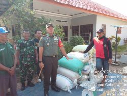 Sesuai Instruksi Presiden Supaya Harga Gabah Harus Stabil, Dandim 0616/Indramayu Letkol Inf Yanuar Setyaga, S.I.P. Sidak Ke Desa Babakan Jaya