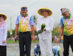 KDM Dukung Swasembada Pangan Lewat Penanaman Padi di Lahan Aset Negara