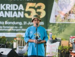 Bandung Jadi Pusat Pengembangan Sorgum Nasional, Alternatif Pangan Selain Beras