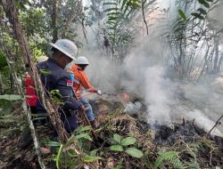 NHM Bangun Budaya Siaga Bencana di Tambang,Dukung Upaya Nasional Pengendalian Karhutla