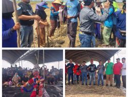 Ratusan Petani Asal Indramayu Siapkan Lahan 210 Hetar, Tanam Komoditas Kedelai Garuda Merah Putih