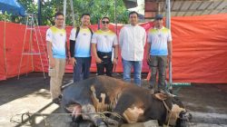 Rayakan Idul Adha, Pertamina Patra Niaga Kilang Balongan Salurkan Puluhan Hewan Kurban Untuk Masyarakat dan Stakeholder, 16 Ekor Sapi dan 86 Ekor Kambing