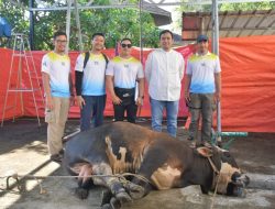 Rayakan Idul Adha, Pertamina Patra Niaga Kilang Balongan Salurkan Puluhan Hewan Kurban Untuk Masyarakat dan Stakeholder, 16 Ekor Sapi dan 86 Ekor Kambing