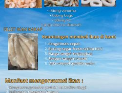 UD Hafizh Teguh Jaya Hadir di Indramayu, Siap Suplai Ikan Segar Air Tawar dan Hasil Laut Berkualitas