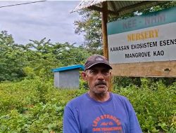 Program Mangrove NHM di Kao Berhasil Pulihkan Kawasan Pesisir dan Tingkatkan Ketahanan Lingkungan