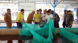 Sinergi Apik Pemda Halut dan NHM Lahirkan Panen Raya Ikan Nila, Bukti Nyata Sukses Program Pemberdayaan Desa