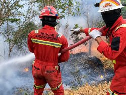 Wujudkan Tambang yang Aman dan Peduli Lingkungan, NHM Jalankan Respons Terpadu Hadapi Karhutla